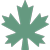 erable icon leaf